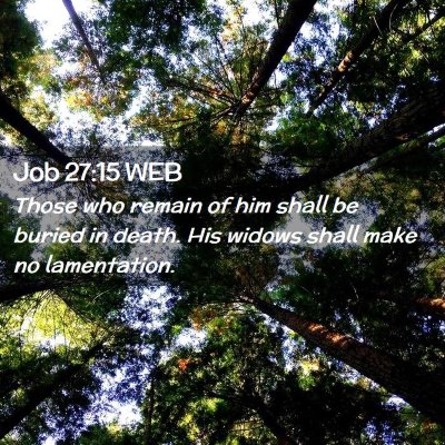 Picture 02 - Job 27:15 WEB - Those who remain of him shall be buried in death. - Bible Verse Picture