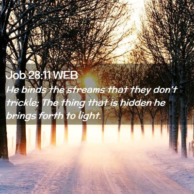 Picture 02 - Job 28:11 WEB - He binds the streams that they don't trickle; The - Bible Verse Picture