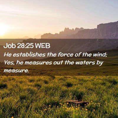 Picture 02 - Job 28:25 WEB - He establishes the force of the wind; Yes, he - Bible Verse Picture