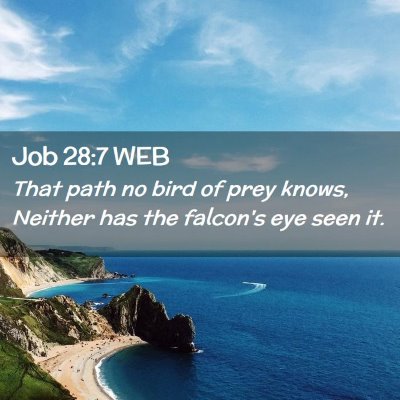 Picture 02 - Job 28:7 WEB - That path no bird of prey knows, Neither has the - Bible Verse Picture