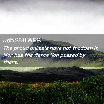Picture 02 - Job 28:8 WEB - The proud animals have not trodden it, Nor has - Bible Verse Picture