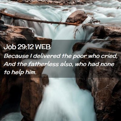 Picture 02 - Job 29:12 WEB - Because I delivered the poor who cried, And the - Bible Verse Picture