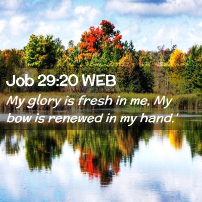 Picture 02 - Job 29:20 WEB - My glory is fresh in me, My bow is renewed in my - Bible Verse Picture