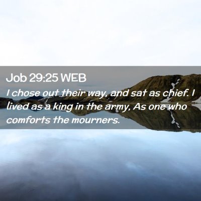 Picture 02 - Job 29:25 WEB - I chose out their way, and sat as chief. I lived - Bible Verse Picture