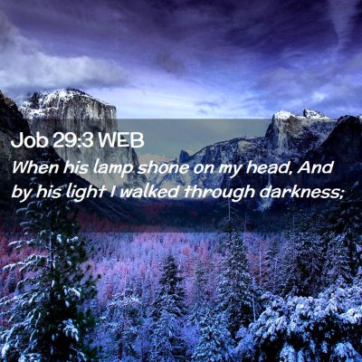 Picture 02 - Job 29:3 WEB - When his lamp shone on my head, And by his light - Bible Verse Picture