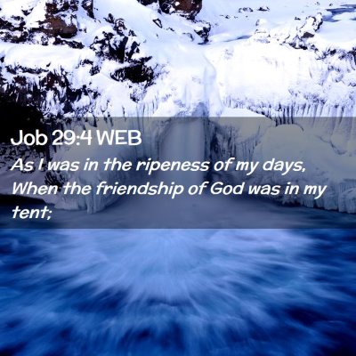 Picture 02 - Job 29:4 WEB - As I was in the ripeness of my days, When the - Bible Verse Picture