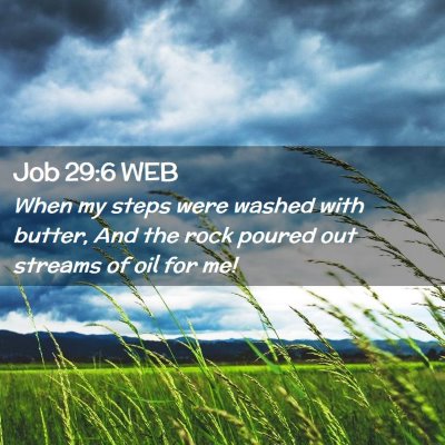 Picture 02 - Job 29:6 WEB - When my steps were washed with butter, And the - Bible Verse Picture