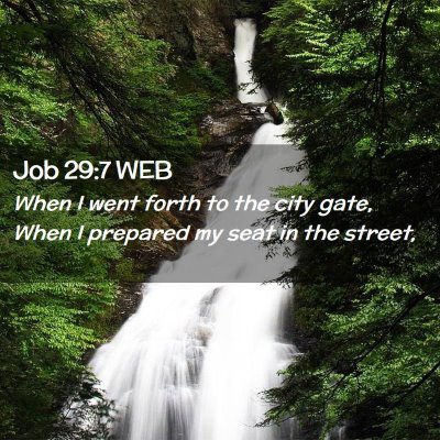 Picture 02 - Job 29:7 WEB - When I went forth to the city gate, When I - Bible Verse Picture