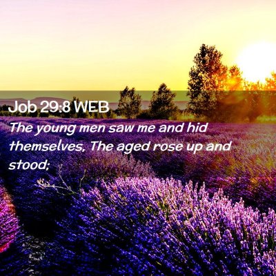 Picture 02 - Job 29:8 WEB - The young men saw me and hid themselves, The aged - Bible Verse Picture