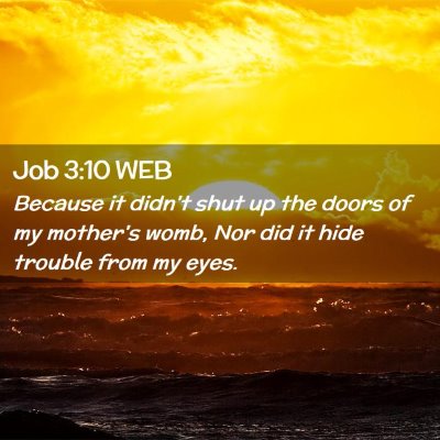Picture 02 - Job 3:10 WEB - Because it didn't shut up the doors of my - Bible Verse Picture