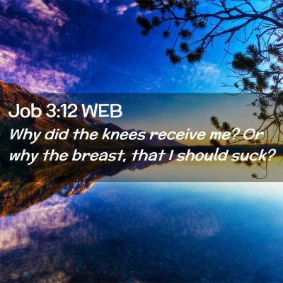Picture 02 - Job 3:12 WEB - Why did the knees receive me? Or why the breast, - Bible Verse Picture