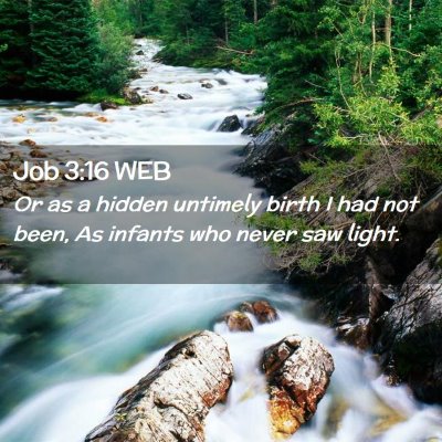 Picture 02 - Job 3:16 WEB - Or as a hidden untimely birth I had not been, As - Bible Verse Picture