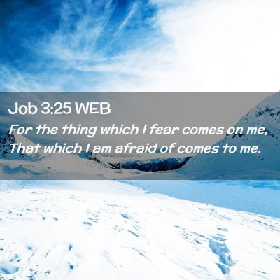 Picture 02 - Job 3:25 WEB - For the thing which I fear comes on me, That - Bible Verse Picture