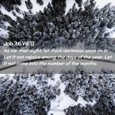 Picture 02 - Job 3:6 WEB - As for that night, let thick darkness seize on - Bible Verse Picture