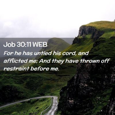 Picture 02 - Job 30:11 WEB - For he has untied his cord, and afflicted me; And - Bible Verse Picture