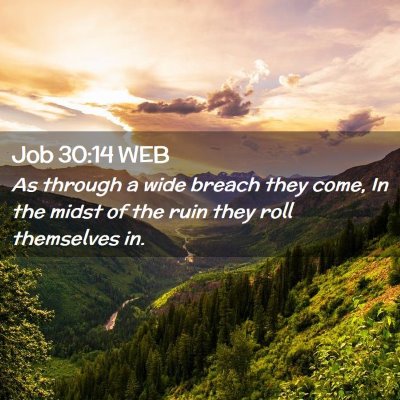 Picture 02 - Job 30:14 WEB - As through a wide breach they come, In the midst - Bible Verse Picture