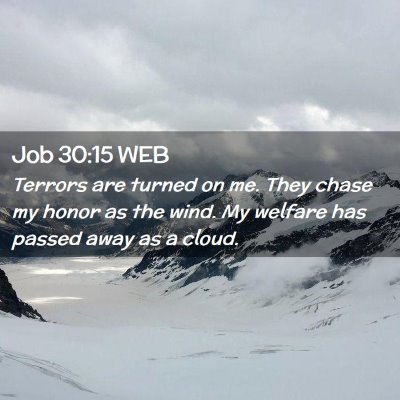 Picture 02 - Job 30:15 WEB - Terrors are turned on me. They chase my honor as - Bible Verse Picture