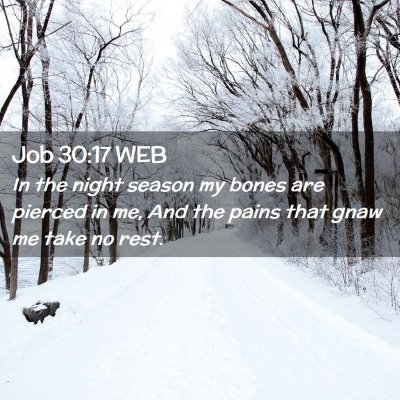 Picture 02 - Job 30:17 WEB - In the night season my bones are pierced in me, - Bible Verse Picture