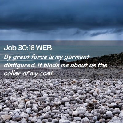 Picture 02 - Job 30:18 WEB - By great force is my garment disfigured. It binds - Bible Verse Picture
