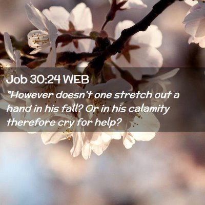 Picture 02 - Job 30:24 WEB - 