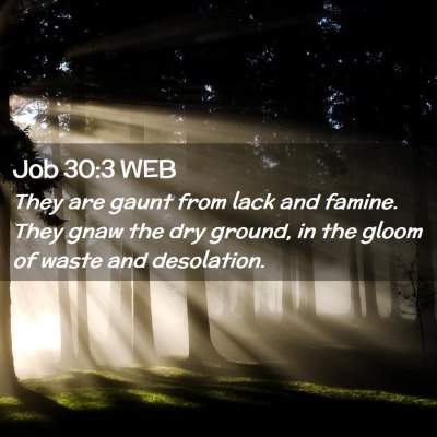 Picture 02 - Job 30:3 WEB - They are gaunt from lack and famine. They gnaw - Bible Verse Picture