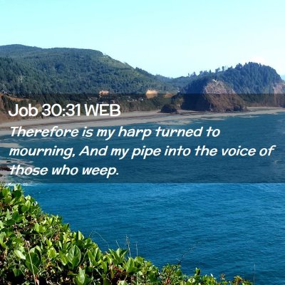 Picture 02 - Job 30:31 WEB - Therefore is my harp turned to mourning, And my - Bible Verse Picture