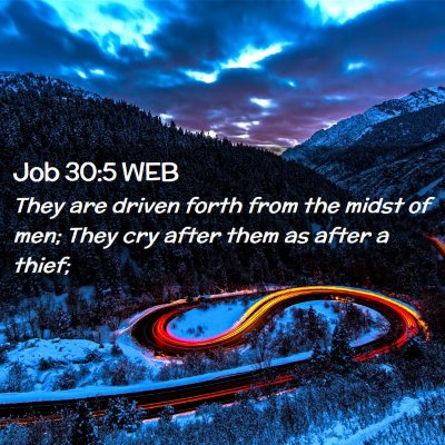 Picture 02 - Job 30:5 WEB - They are driven forth from the midst of men; They - Bible Verse Picture