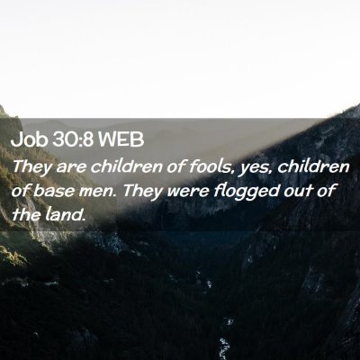 Picture 02 - Job 30:8 WEB - They are children of fools, yes, children of base - Bible Verse Picture