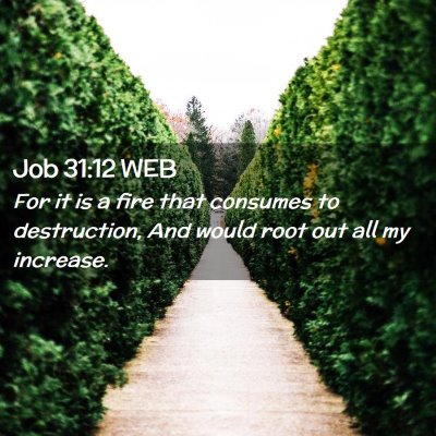 Picture 02 - Job 31:12 WEB - For it is a fire that consumes to destruction, - Bible Verse Picture