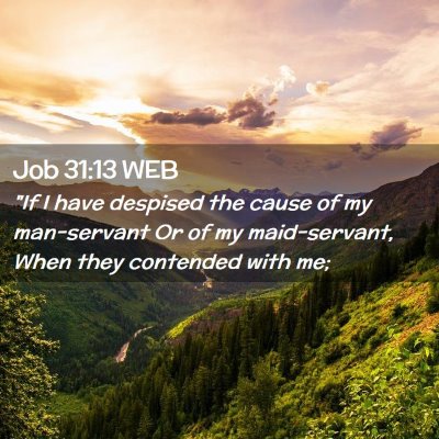 Picture 02 - Job 31:13 WEB - 