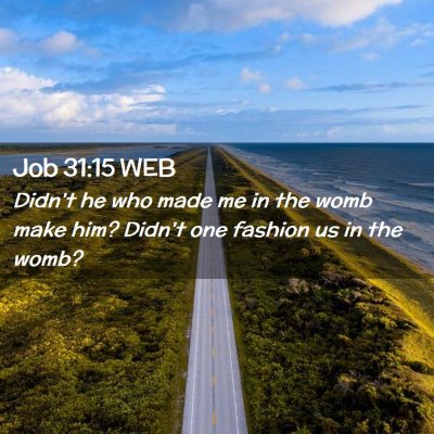 Picture 02 - Job 31:15 WEB - Didn't he who made me in the womb make him? - Bible Verse Picture