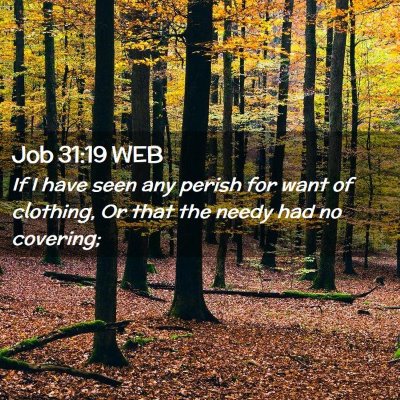 Picture 02 - Job 31:19 WEB - If I have seen any perish for want of clothing, - Bible Verse Picture
