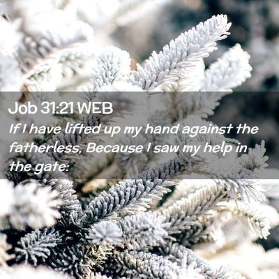 Picture 02 - Job 31:21 WEB - If I have lifted up my hand against the - Bible Verse Picture