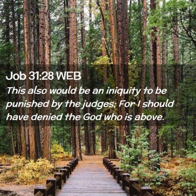 Picture 02 - Job 31:28 WEB - This also would be an iniquity to be punished by - Bible Verse Picture