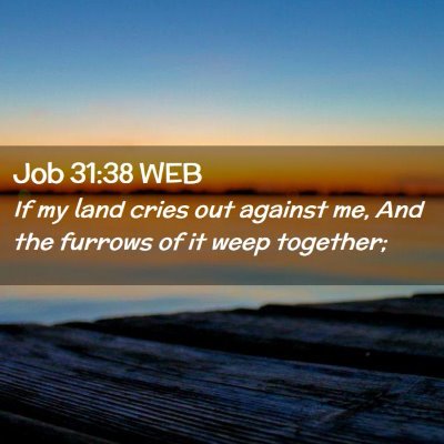 Picture 02 - Job 31:38 WEB - If my land cries out against me, And the furrows - Bible Verse Picture