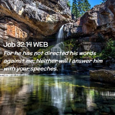 Picture 02 - Job 32:14 WEB - For he has not directed his words against me; - Bible Verse Picture