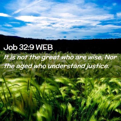 Picture 02 - Job 32:9 WEB - It is not the great who are wise, Nor the aged - Bible Verse Picture