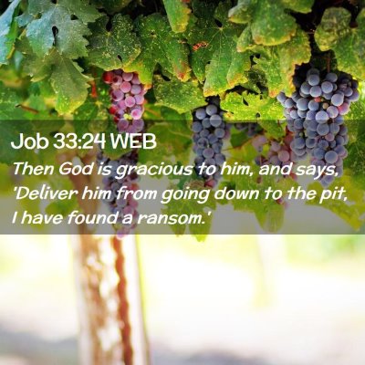 Picture 02 - Job 33:24 WEB - Then God is gracious to him, and says, 'Deliver - Bible Verse Picture