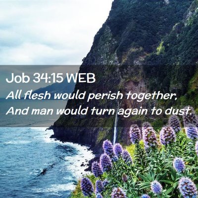 Picture 02 - Job 34:15 WEB - All flesh would perish together, And man would - Bible Verse Picture