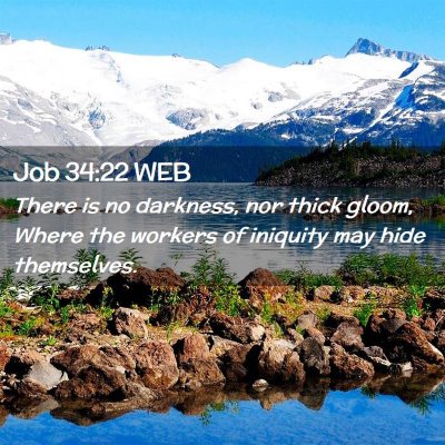 Picture 02 - Job 34:22 WEB - There is no darkness, nor thick gloom, Where the - Bible Verse Picture