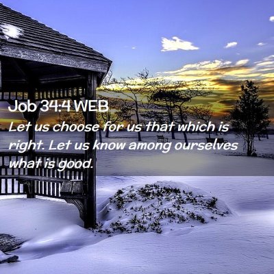 Picture 02 - Job 34:4 WEB - Let us choose for us that which is right. Let us - Bible Verse Picture