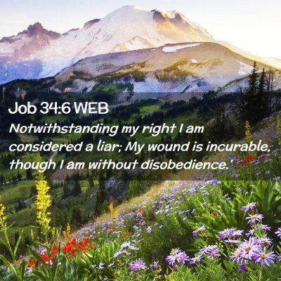 Picture 02 - Job 34:6 WEB - Notwithstanding my right I am considered a liar; - Bible Verse Picture