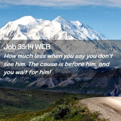 Picture 02 - Job 35:14 WEB - How much less when you say you don't see him. The - Bible Verse Picture