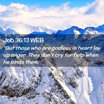 Picture 02 - Job 36:13 WEB - 