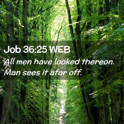 Picture 02 - Job 36:25 WEB - All men have looked thereon. Man sees it afar - Bible Verse Picture