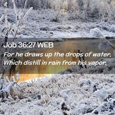 Picture 02 - Job 36:27 WEB - For he draws up the drops of water, Which distill - Bible Verse Picture