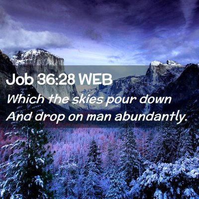 Picture 02 - Job 36:28 WEB - Which the skies pour down And drop on man - Bible Verse Picture