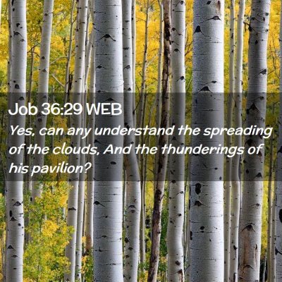 Picture 02 - Job 36:29 WEB - Yes, can any understand the spreading of the - Bible Verse Picture