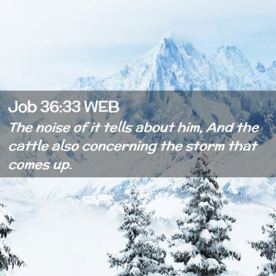Picture 02 - Job 36:33 WEB - The noise of it tells about him, And the cattle - Bible Verse Picture