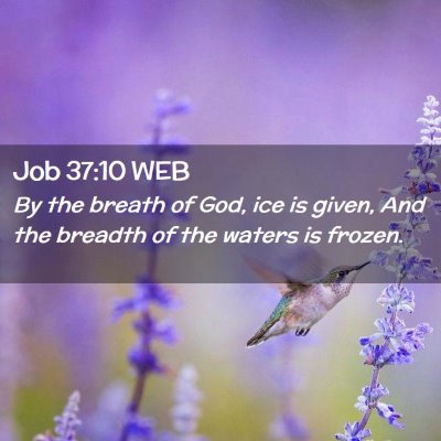 Picture 02 - Job 37:10 WEB - By the breath of God, ice is given, And the - Bible Verse Picture